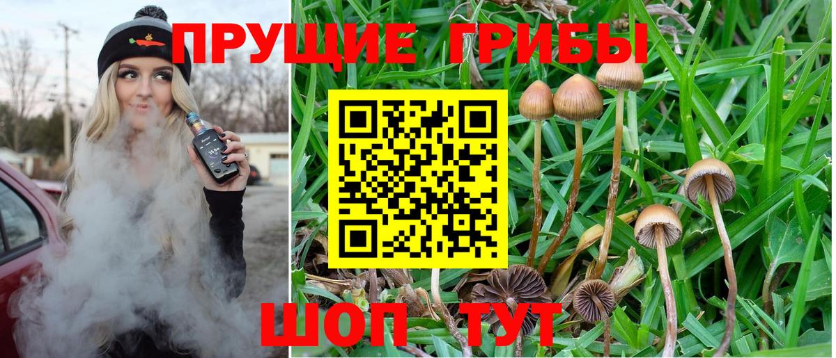 Галлюциногенные грибы Cubensis  Вход с VPN  Домодедово  дарнет шоп  Галлюциногенные грибы GOLDEN TEACHER 